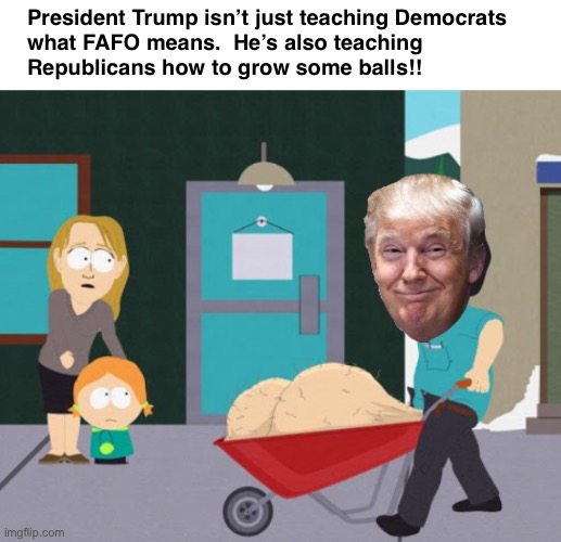 He’s not a Politician.  This is what Leaders do! | President Trump isn’t just teaching Democrats 
what FAFO means.  He’s also teaching 
Republicans how to grow some balls!! | image tagged in trump wheelbarrow | made w/ Imgflip meme maker