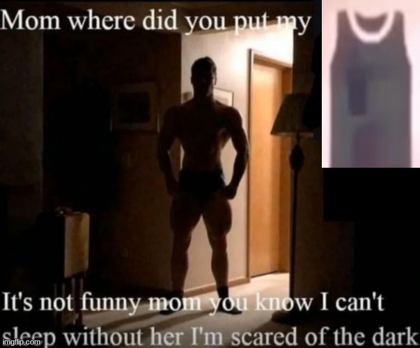 Mom where did you put my _ | image tagged in mom where did you put my _ | made w/ Imgflip meme maker