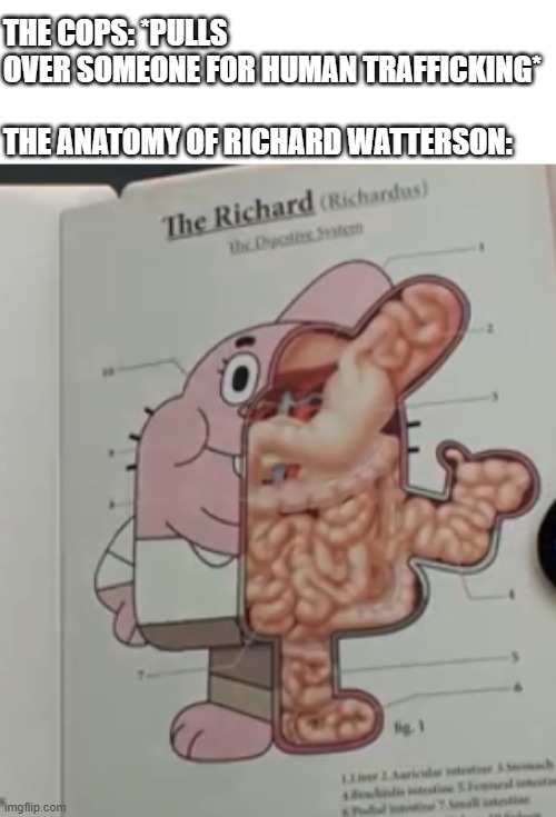 What your phone does when it gets .2 milligrams of water on it: | THE COPS: *PULLS OVER SOMEONE FOR HUMAN TRAFFICKING*
 
THE ANATOMY OF RICHARD WATTERSON: | image tagged in richard watterson anatomy,the amazing world of gumball,lol so funny,random bullshit go,memes,cops | made w/ Imgflip meme maker