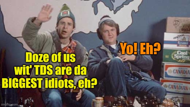 Three beers and it looks good eh | Doze of us wit' TDS are da BIGGEST idiots, eh? Yo! Eh? | image tagged in three beers and it looks good eh | made w/ Imgflip meme maker