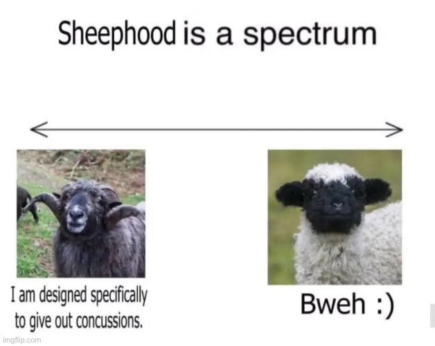 bweh :) | image tagged in gifs,memes,funny,shitpost,sheep,msmg | made w/ Imgflip meme maker