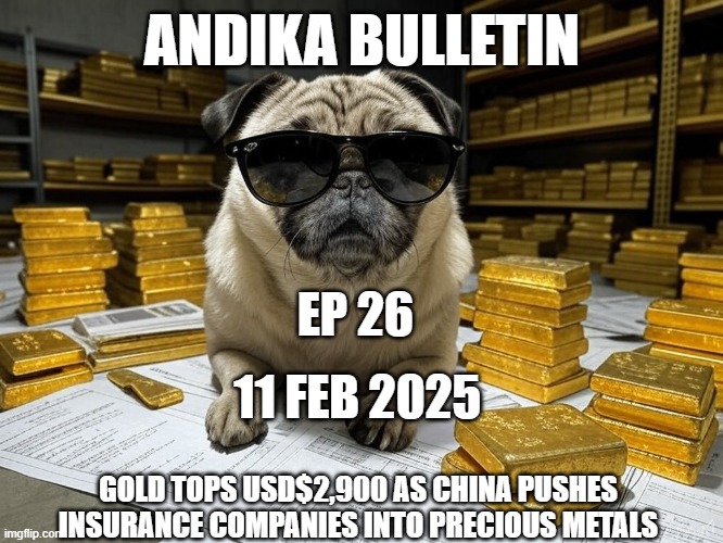 ANDIKA BULLETIN | ANDIKA BULLETIN; EP 26; 11 FEB 2025; GOLD TOPS USD$2,900 AS CHINA PUSHES INSURANCE COMPANIES INTO PRECIOUS METALS | image tagged in pugs | made w/ Imgflip meme maker