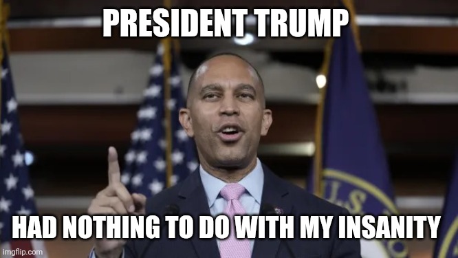 Hakeem Jeffries | PRESIDENT TRUMP HAD NOTHING TO DO WITH MY INSANITY | image tagged in hakeem jeffries | made w/ Imgflip meme maker