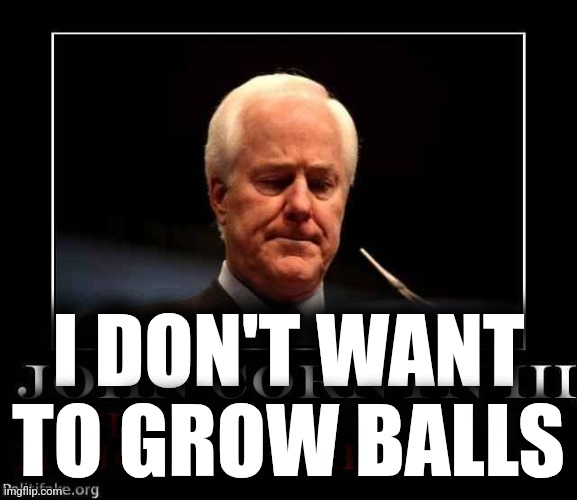 cornyn | I DON'T WANT TO GROW BALLS | image tagged in cornyn | made w/ Imgflip meme maker