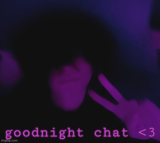 goodnight chat <3 | image tagged in hai | made w/ Imgflip meme maker