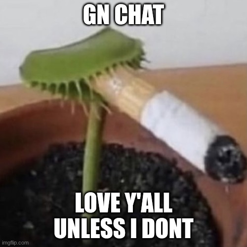 no homo | GN CHAT; LOVE Y'ALL
UNLESS I DONT | image tagged in plant smoking a cigarette | made w/ Imgflip meme maker