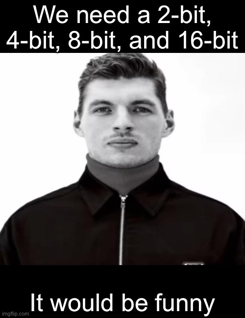 Chat let’s do it | We need a 2-bit, 4-bit, 8-bit, and 16-bit; It would be funny | image tagged in black and white max verstappen | made w/ Imgflip meme maker