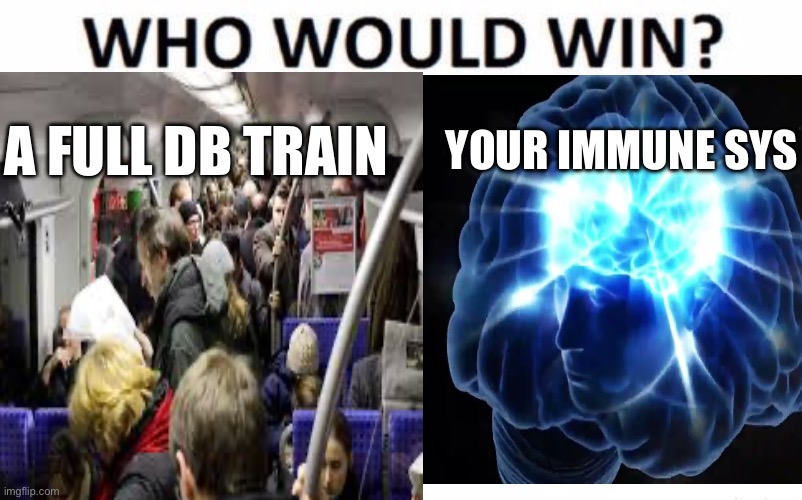 Warum halt? | A FULL DB TRAIN; YOUR IMMUNE SYSTEM | image tagged in memes,who would win | made w/ Imgflip meme maker