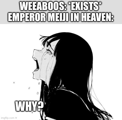 Making anime memes about making fun of weeaboos | WEEABOOS: *EXISTS*
EMPEROR MEIJI IN HEAVEN:; WHY? | image tagged in crying aya asagiri,history | made w/ Imgflip meme maker