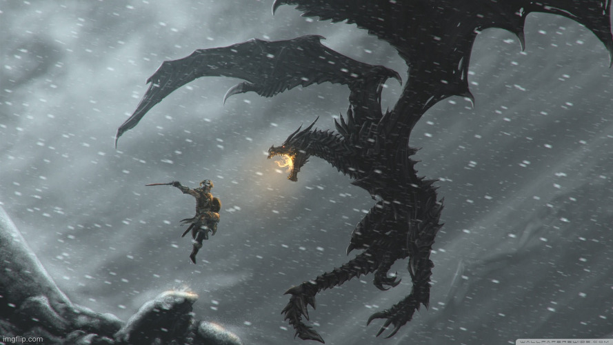 Skyrim Dragon Fight | image tagged in skyrim dragon fight | made w/ Imgflip meme maker