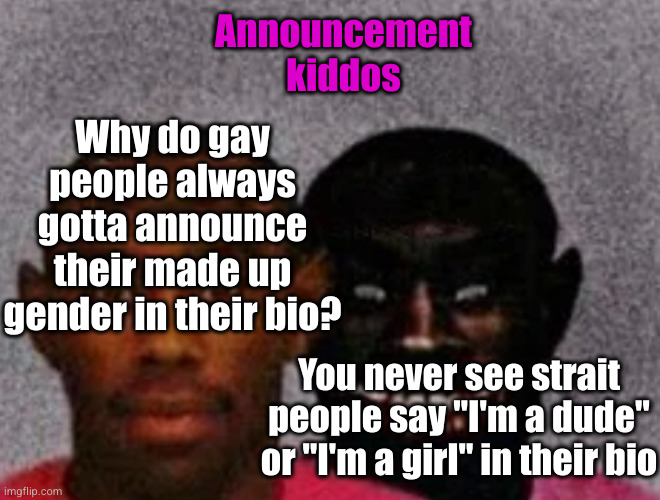 ts corny ngl | Announcement kiddos; Why do gay people always gotta announce their made up gender in their bio? You never see strait people say "I'm a dude" or "I'm a girl" in their bio | image tagged in good tyler and bad tyler,gay people,stupid people | made w/ Imgflip meme maker