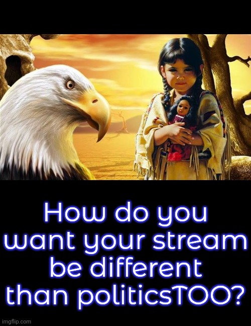 I'm not a Democrat. | How do you want your stream be different than politicsTOO? | image tagged in native american,meme stream,mean while on imgflip | made w/ Imgflip meme maker