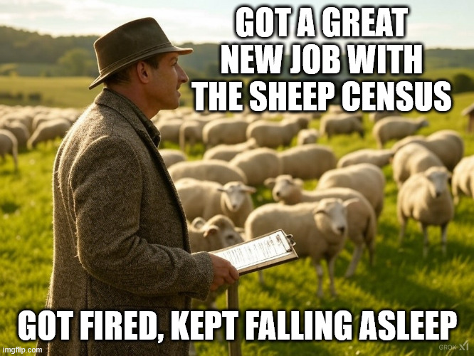 Sheep Census | GOT A GREAT NEW JOB WITH THE SHEEP CENSUS; GOT FIRED, KEPT FALLING ASLEEP | image tagged in oneliner,fun,counting sheep | made w/ Imgflip meme maker