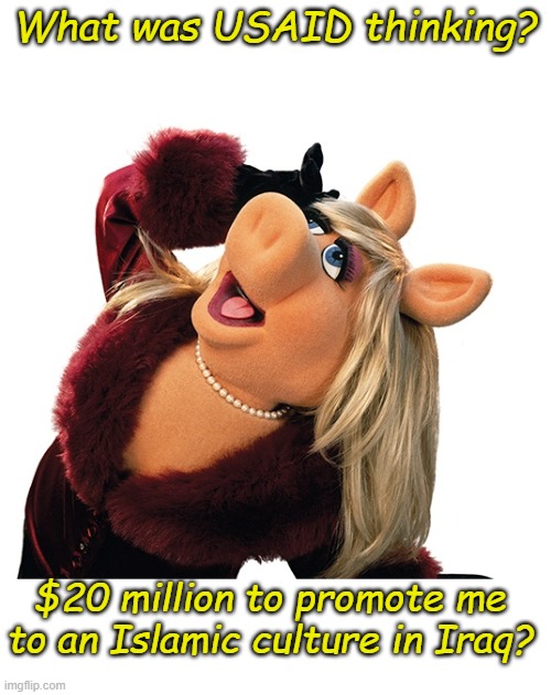 That's it, they weren't thinking. They were robbing Americans... | What was USAID thinking? $20 million to promote me to an Islamic culture in Iraq? | image tagged in miss piggy - drama pose large | made w/ Imgflip meme maker