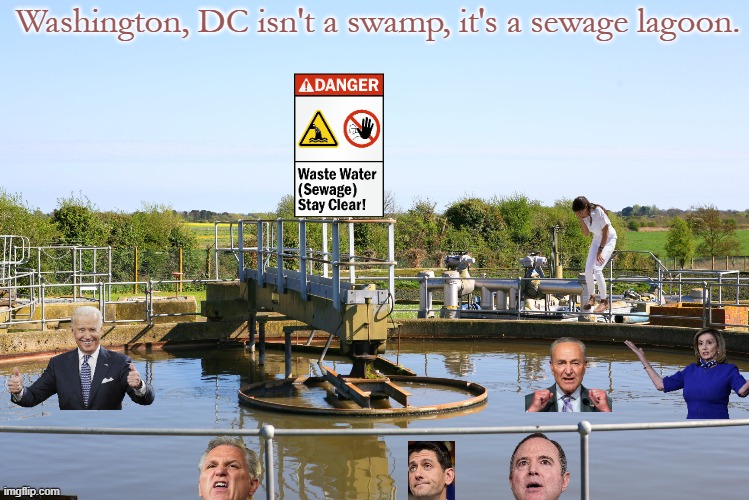 Truth in advertising... | Washington, DC isn't a swamp, it's a sewage lagoon. | image tagged in sewage lagoon | made w/ Imgflip meme maker