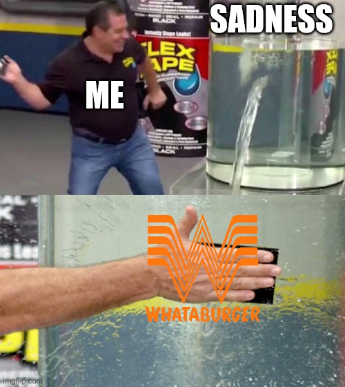 You have not lived til you've tried it | SADNESS; ME | image tagged in flex tape,whataburger,comfort food,fast food,delicious,memes | made w/ Imgflip meme maker