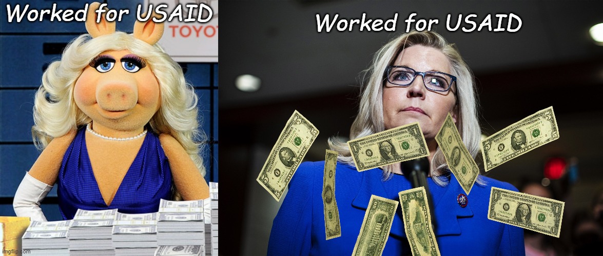 Is it just me, or am I seeing a pattern here? | Worked for USAID; Worked for USAID | image tagged in miss piggy,liz cheney | made w/ Imgflip meme maker