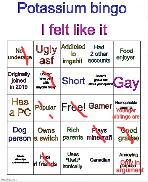 Potassium bingo v3 | Younger siblings are; Only in argument | image tagged in potassium bingo v3 | made w/ Imgflip meme maker