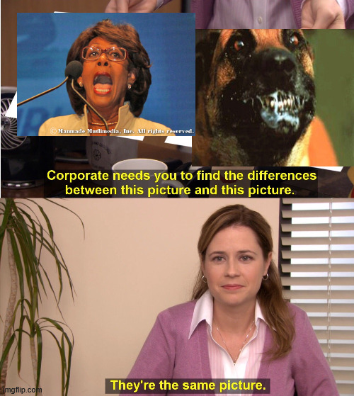 2 Mad Dogs | image tagged in memes,they're the same picture | made w/ Imgflip meme maker