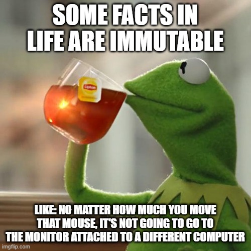 Life facts | SOME FACTS IN LIFE ARE IMMUTABLE; LIKE: NO MATTER HOW MUCH YOU MOVE THAT MOUSE, IT'S NOT GOING TO GO TO THE MONITOR ATTACHED TO A DIFFERENT COMPUTER | image tagged in memes,kermit the frog,facts of life,life facts | made w/ Imgflip meme maker