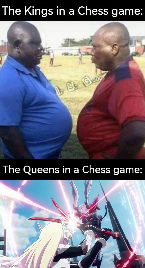 The Kings in the Chess game are truly the King of the Chill guy. | The Kings in a Chess game:; The Queens in a Chess game: | image tagged in memes,funny,chess | made w/ Imgflip meme maker