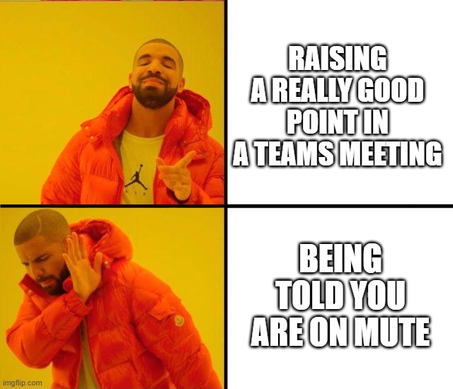 Typical, firgures | RAISING A REALLY GOOD POINT IN A TEAMS MEETING; BEING TOLD YOU ARE ON MUTE | image tagged in drake yes no reverse,typical,figures,fml | made w/ Imgflip meme maker