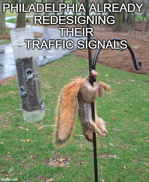 Philly Fans | PHILADELPHIA ALREADY 
REDESIGNING
 THEIR
 TRAFFIC SIGNALS | image tagged in squirrel nuts,philadelphia eagles,superbowl,sports fans,riot | made w/ Imgflip meme maker