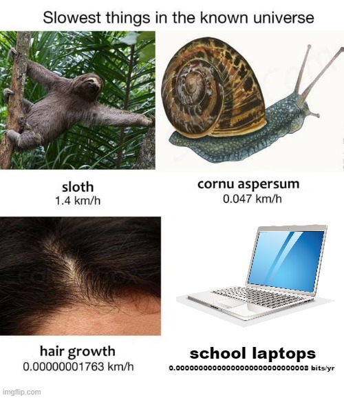 Slowest things | school laptops; 0.00000000000000000000000000008 bits/yr | image tagged in slowest things | made w/ Imgflip meme maker