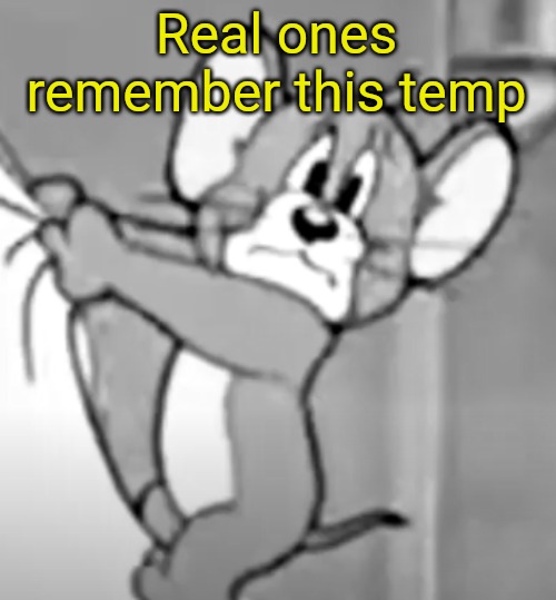 awww the skrunkly | Real ones remember this temp | image tagged in awww the skrunkly | made w/ Imgflip meme maker