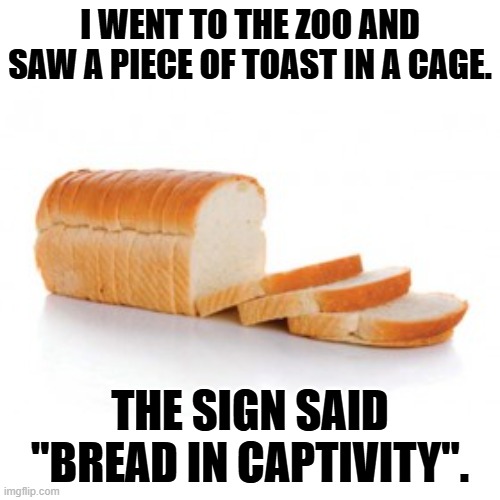 Daily Bad Dad Joke February 11, 2025 | I WENT TO THE ZOO AND SAW A PIECE OF TOAST IN A CAGE. THE SIGN SAID "BREAD IN CAPTIVITY". | image tagged in sliced bread | made w/ Imgflip meme maker