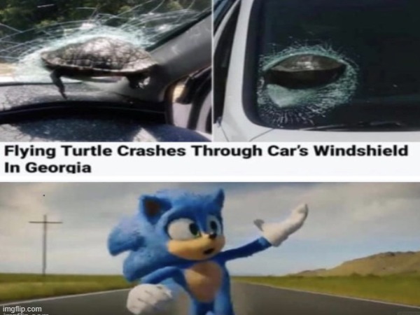 image tagged in turtle,sonic,shitpost | made w/ Imgflip meme maker