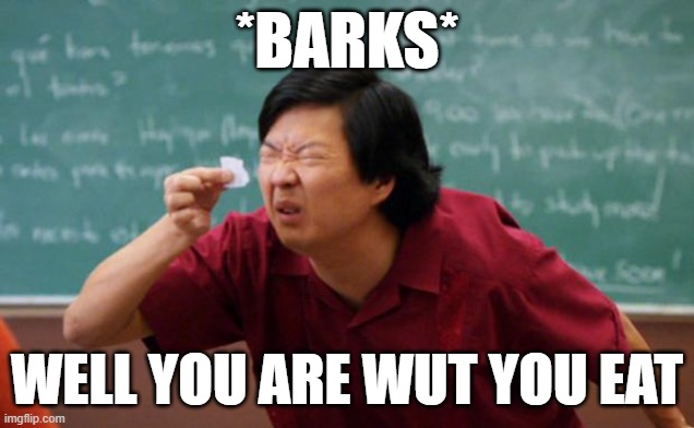 paper | *BARKS*; WELL YOU ARE WUT YOU EAT | image tagged in tiny piece of paper | made w/ Imgflip meme maker