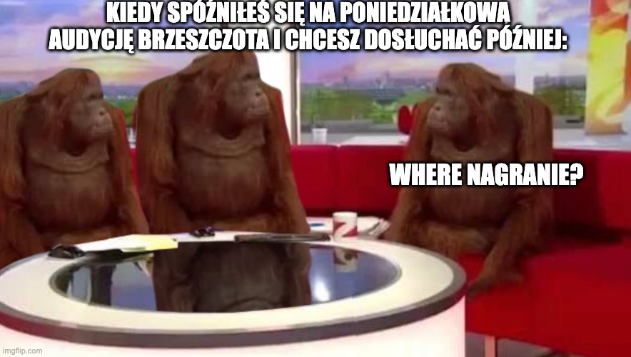 where monkey | KIEDY SPÓŹNIŁEŚ SIĘ NA PONIEDZIAŁKOWĄ AUDYCJĘ BRZESZCZOTA I CHCESZ DOSŁUCHAĆ PÓŹNIEJ:; WHERE NAGRANIE? | image tagged in where monkey | made w/ Imgflip meme maker