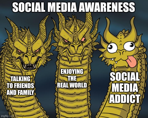 social media awareness | SOCIAL MEDIA AWARENESS; ENJOYING THE REAL WORLD; SOCIAL MEDIA ADDICT; TALKING TO FRIENDS AND FAMILY | image tagged in three-headed dragon | made w/ Imgflip meme maker