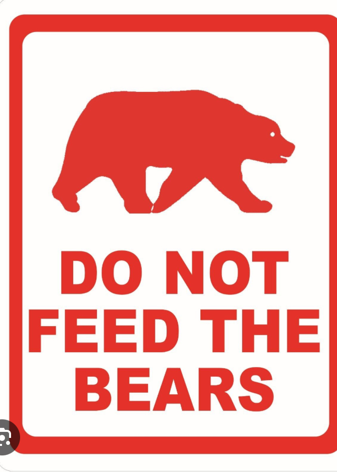 Do not feed the bears Blank Meme Template