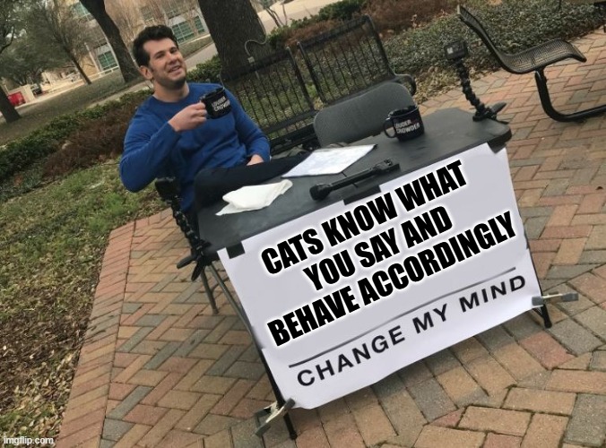 Change my mind Crowder | CATS KNOW WHAT YOU SAY AND BEHAVE ACCORDINGLY | image tagged in change my mind crowder | made w/ Imgflip meme maker