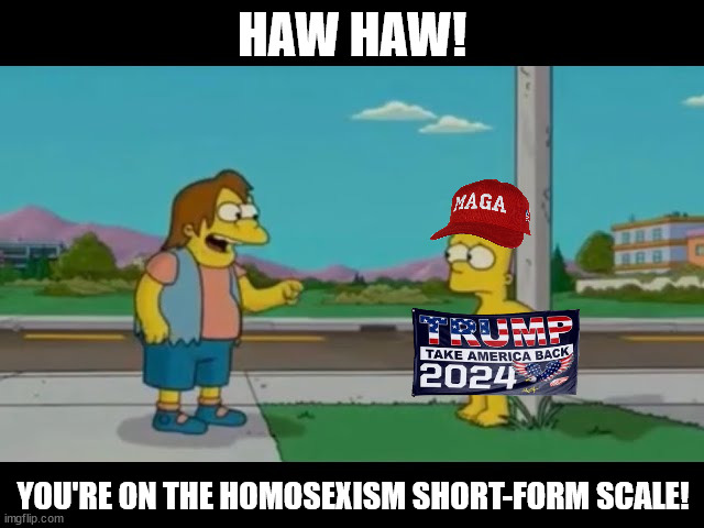 HAW HAW! YOU'RE ON THE HOMOSEXISM SHORT-FORM SCALE! | made w/ Imgflip meme maker