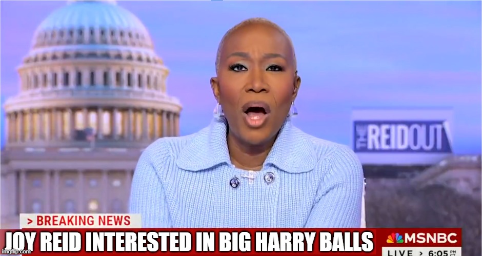 Big Harry Bolz | JOY REID INTERESTED IN BIG HARRY BALLS | image tagged in elon musk,doge,maga,washington dc,msnbc,racist | made w/ Imgflip meme maker