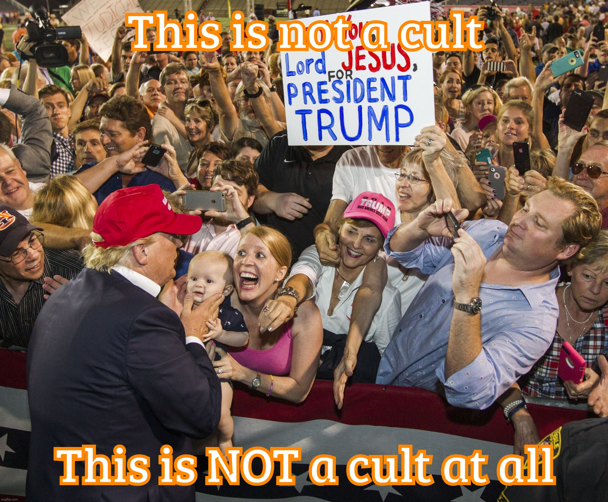 If it walks like a duck, and it quacks like a duck, THEN it ain't a cult | This is not a cult; This is NOT a cult at all | image tagged in trump cult,walk quack duck,cult 45,magats,it appeals to a certain demographic,get a hobby | made w/ Imgflip meme maker