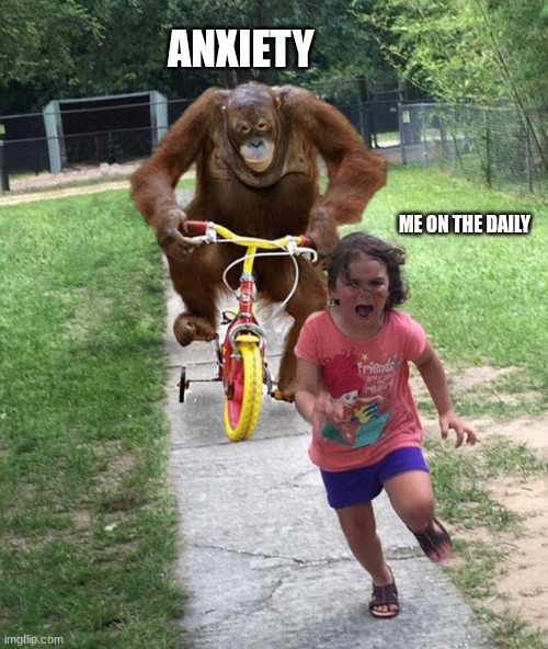 Orangutan chasing girl on a tricycle | ANXIETY; ME ON THE DAILY | image tagged in orangutan chasing girl on a tricycle | made w/ Imgflip meme maker