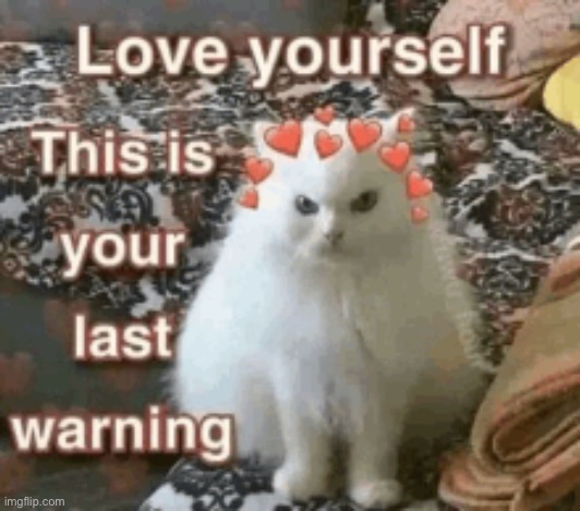 Love yourself now | image tagged in memes,wholesome | made w/ Imgflip meme maker