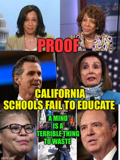 Democrat schools fail to educate | PROOF; CALIFORNIA SCHOOLS FAIL TO EDUCATE; A MIND IS A TERRIBLE THING TO WASTE | image tagged in gifs,democrats,corruption,government corruption,incompetence,education | made w/ Imgflip meme maker