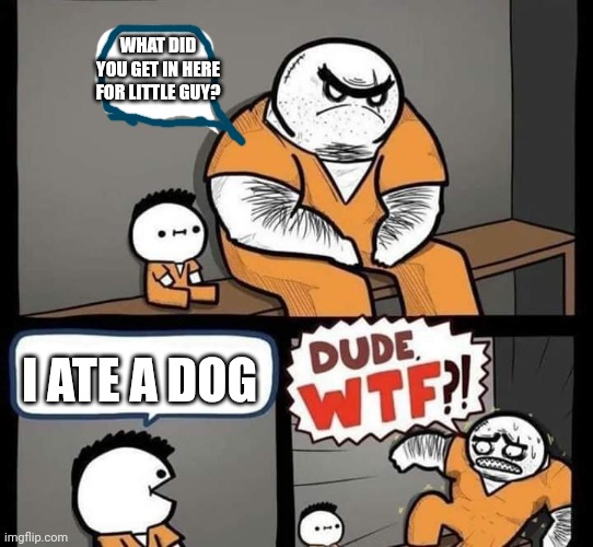 Dude wtf | WHAT DID YOU GET IN HERE FOR LITTLE GUY? I ATE A DOG | image tagged in dude wtf | made w/ Imgflip meme maker