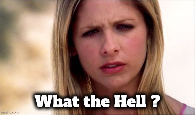 Buffy The Vampire Slayer WTF | What the Hell ? | image tagged in buffy the vampire slayer wtf | made w/ Imgflip meme maker