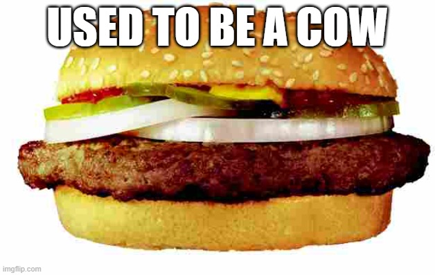 Hamburger | USED TO BE A COW | image tagged in hamburger | made w/ Imgflip meme maker