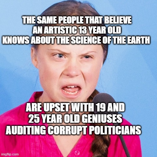 How Dare You | THE SAME PEOPLE THAT BELIEVE AN ARTISTIC 13 YEAR OLD KNOWS ABOUT THE SCIENCE OF THE EARTH; ARE UPSET WITH 19 AND 25 YEAR OLD GENIUSES AUDITING CORRUPT POLITICIANS | image tagged in how dare you | made w/ Imgflip meme maker