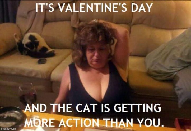 It's Valentine's Day | image tagged in valentine's day,valentines day,valentines,valentine,happy valentine's day | made w/ Imgflip meme maker