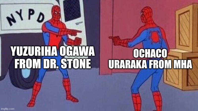 spiderman pointing at spiderman | YUZURIHA OGAWA FROM DR. STONE; OCHACO URARAKA FROM MHA | image tagged in spiderman pointing at spiderman,dr stone,mha,similar,yuzuriha,ochaco | made w/ Imgflip meme maker