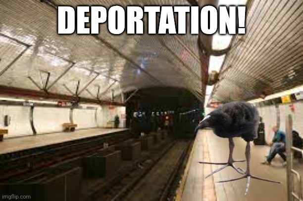 Train station | DEPORTATION! | image tagged in train station | made w/ Imgflip meme maker