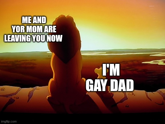 z | ME AND YOR MOM ARE LEAVING YOU NOW; I'M GAY DAD | image tagged in memes,lion king | made w/ Imgflip meme maker